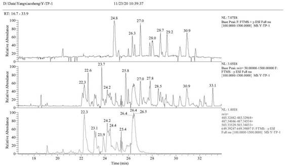 Rosa roxburghii active extract with anti-depression effect and application