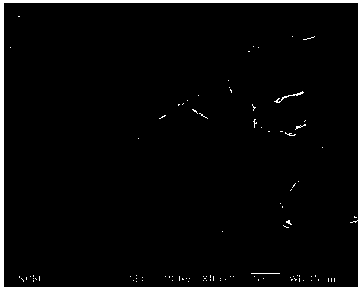 Preparation method of diatomite and paraffin composite phase change material