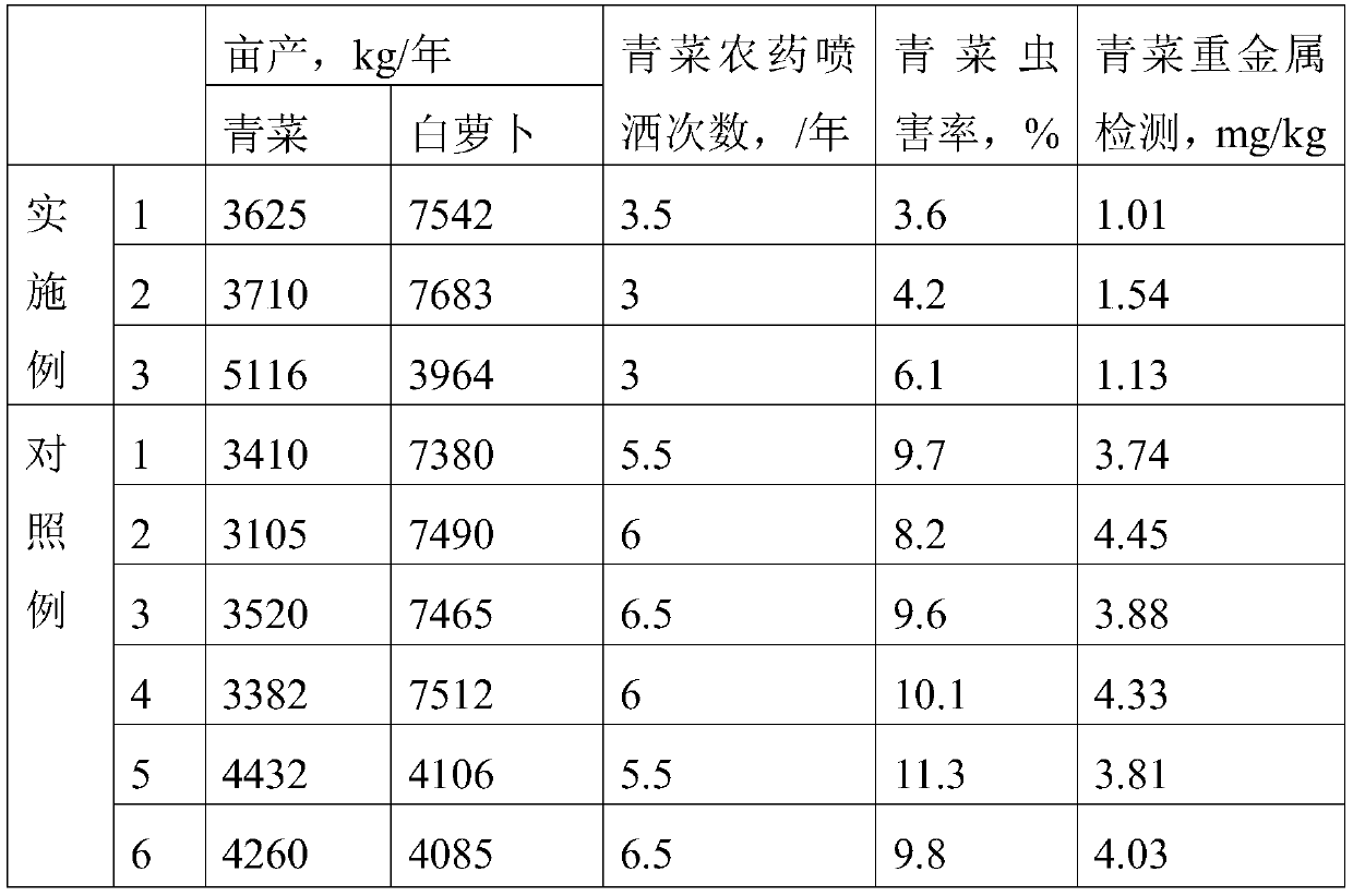 High-yield high-disease-resistance pakchoi annual planting method