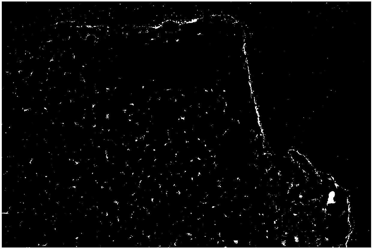 Preparation method of Fe3O4/nitrogen-doped graphene material capable of being used for lithium ion battery negative electrode