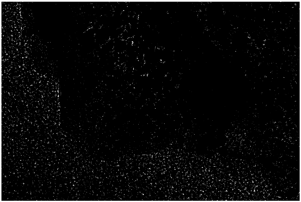 Preparation method of Fe3O4/nitrogen-doped graphene material capable of being used for lithium ion battery negative electrode