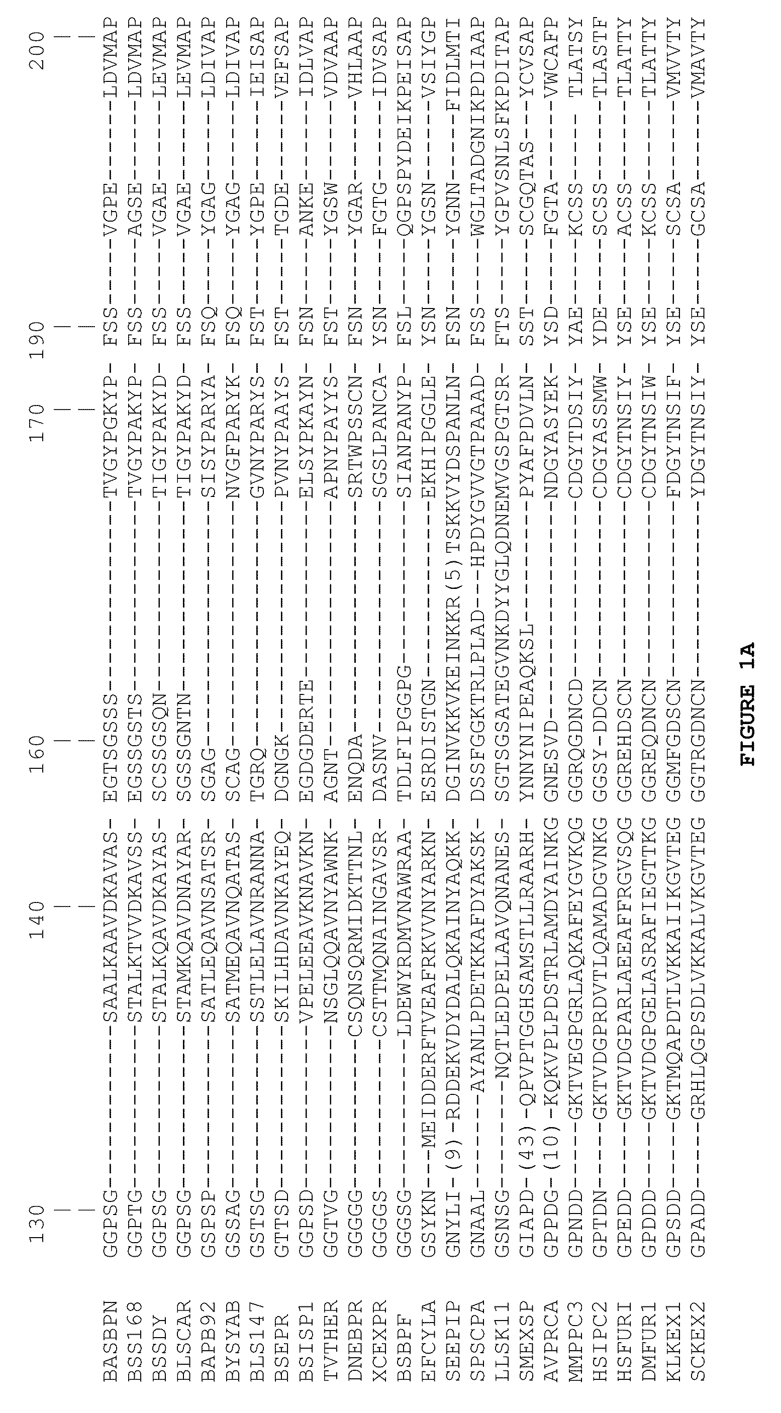 Subtilase Variants