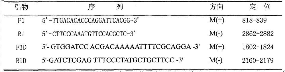 Rapid 1-type dengue gold-marking diagnosis test paper strip