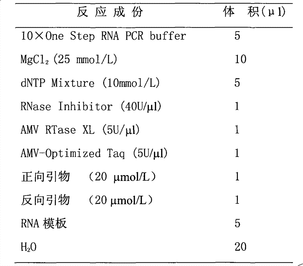 Rapid 1-type dengue gold-marking diagnosis test paper strip