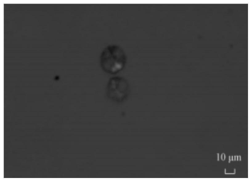 Method for preparing porous microspheres from waste nylon 6 fabric