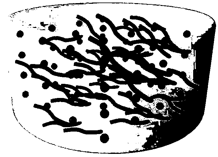 Nitride oxide nanocomposite hydrogel and preparation method and application thereof