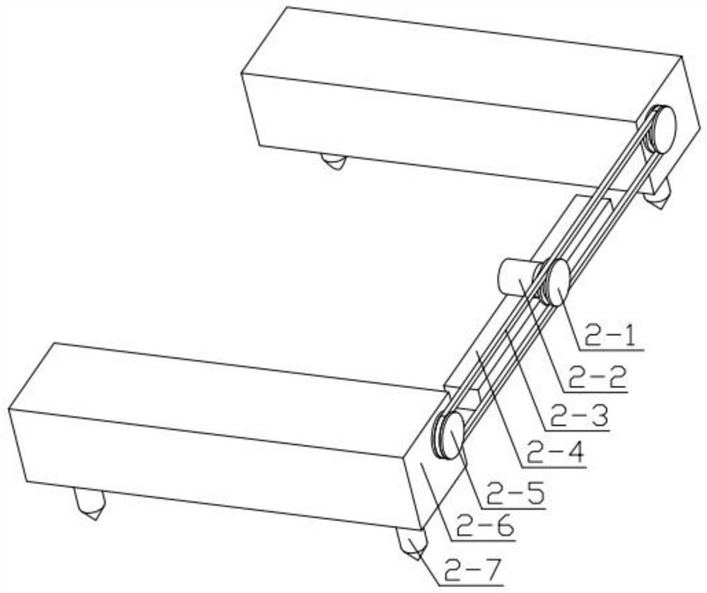 Camellia oleifera production and planting device