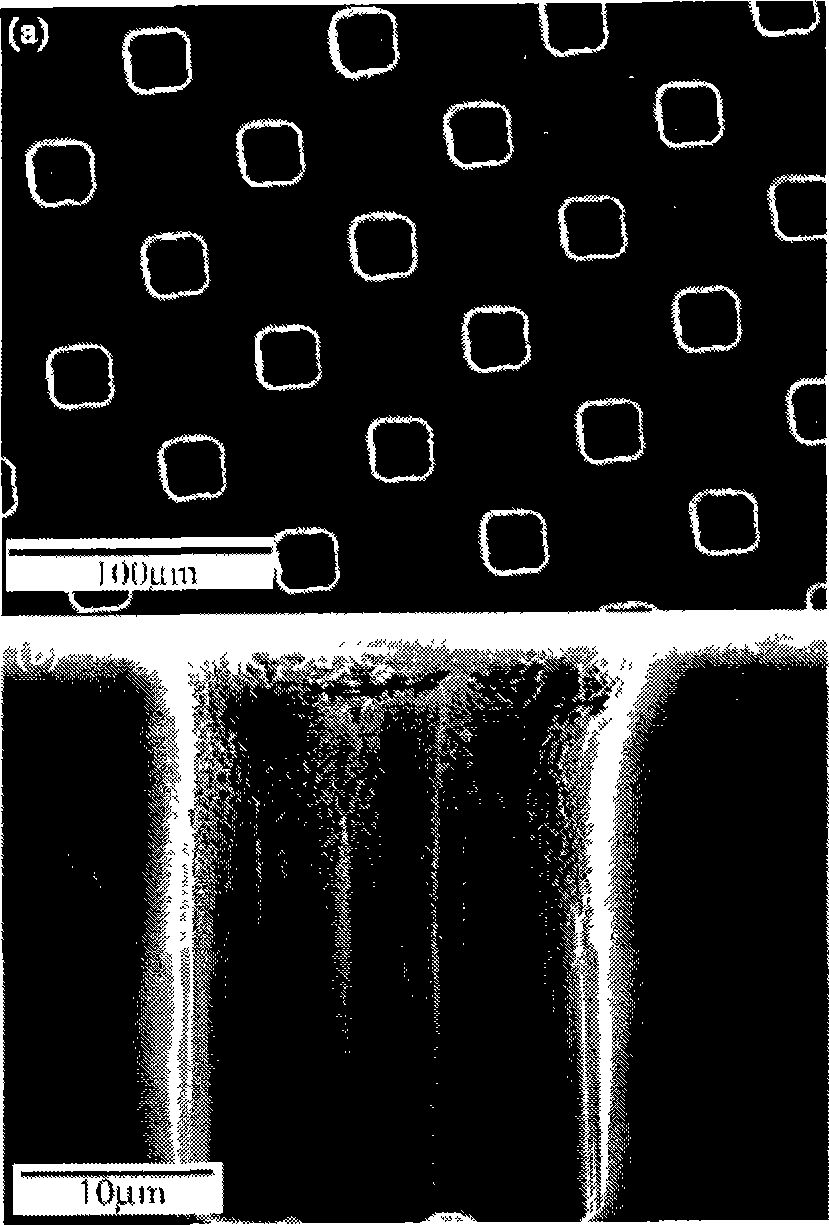 Microfine piezoelectric ceramics array structure composite material and preparation thereof