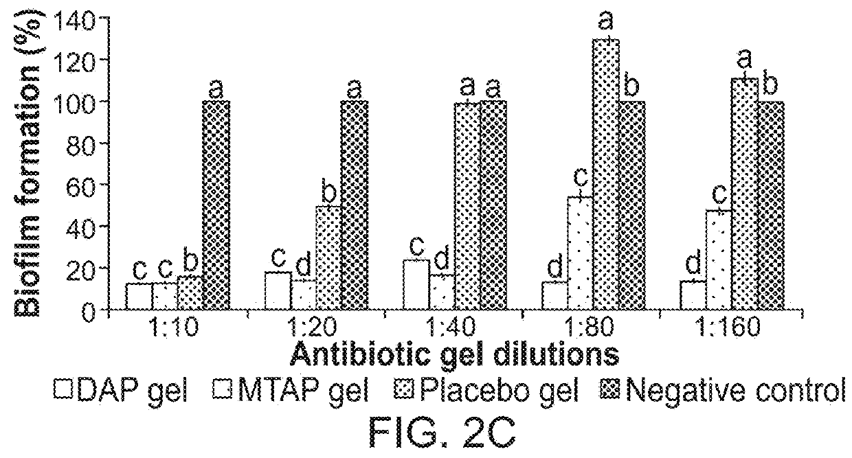 Delivery systems for application of antibiotic gel formulation