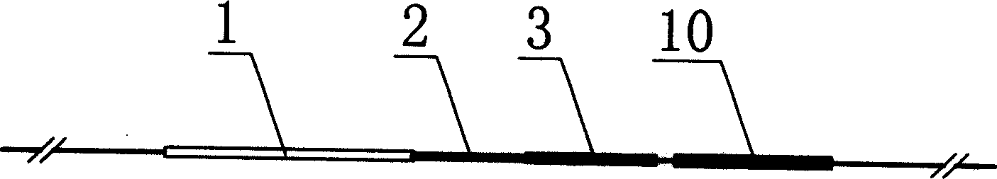 Method for fish gene in site modification breeding