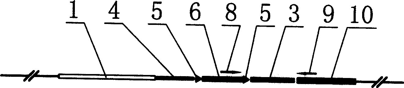 Method for fish gene in site modification breeding