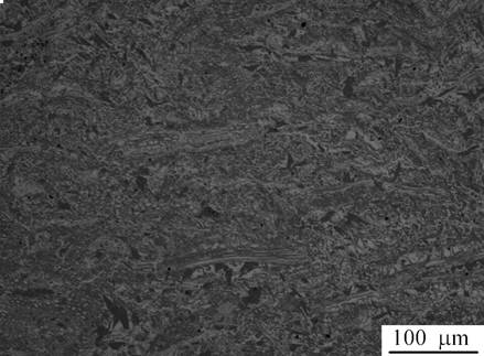 B4C/SiC whisker/SiC multiphase ceramic matrix composite and preparation method thereof