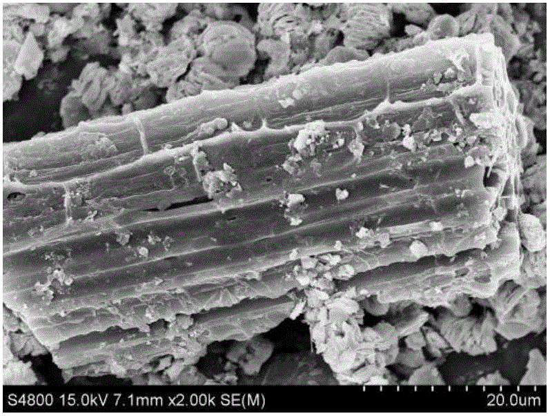 Lotus-root-shaped porous carbon/oxyhalogen bismuth semiconductor composite photocatalysis material as well as preparation and application thereof