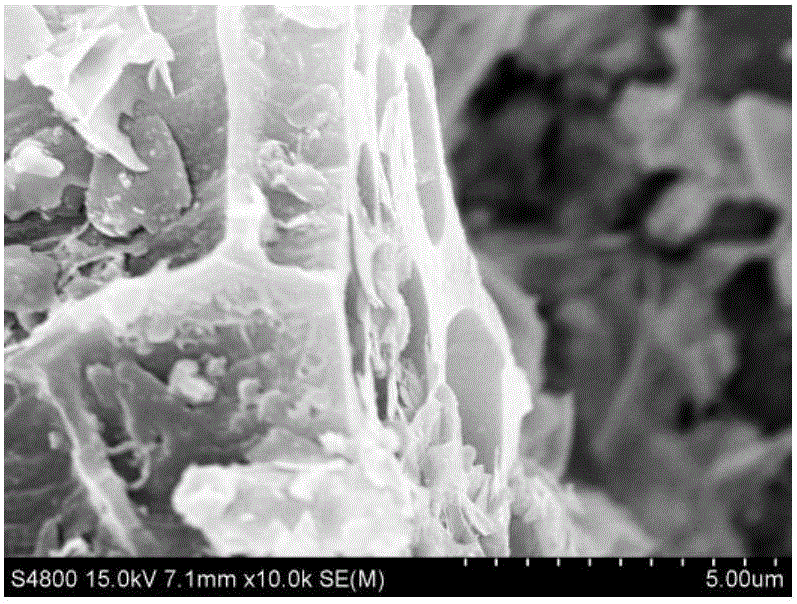 Lotus-root-shaped porous carbon/oxyhalogen bismuth semiconductor composite photocatalysis material as well as preparation and application thereof