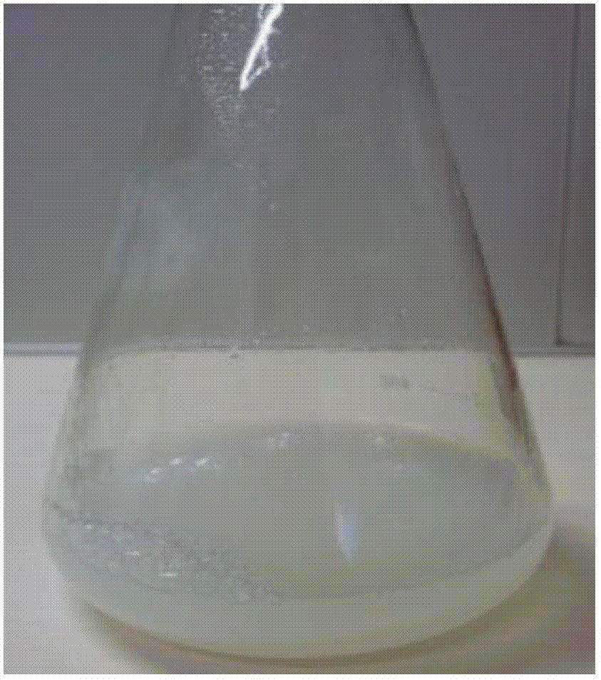 Waterproof cement additive and cement containing same