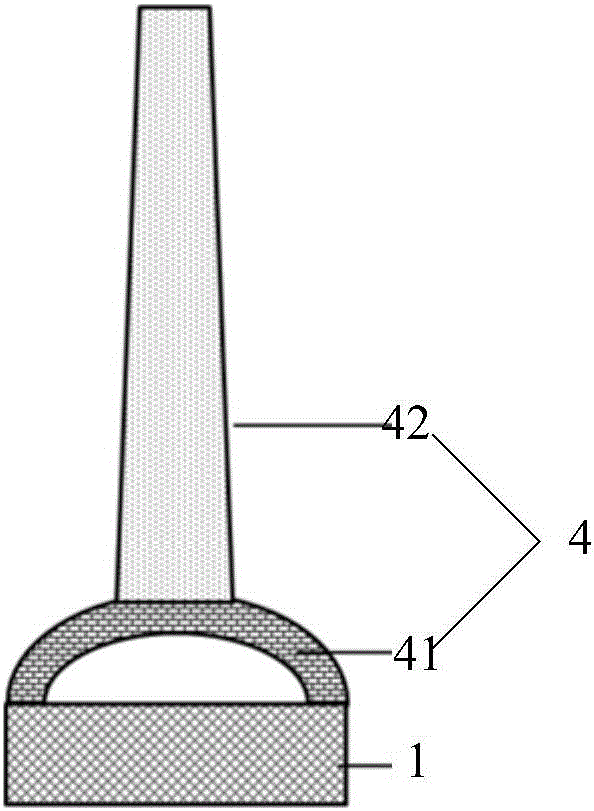 Biological recognition device and biological recognition method