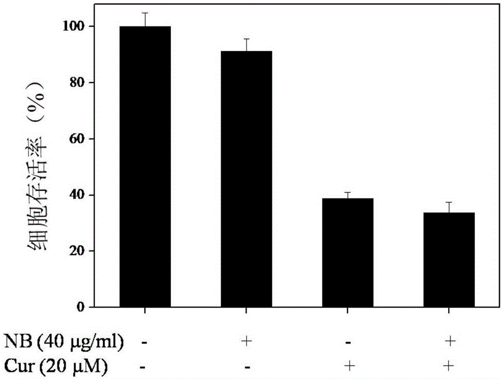 Medicine for treating melanoma and preparation method of medicine