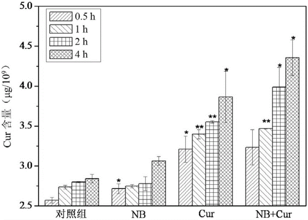 Medicine for treating melanoma and preparation method of medicine