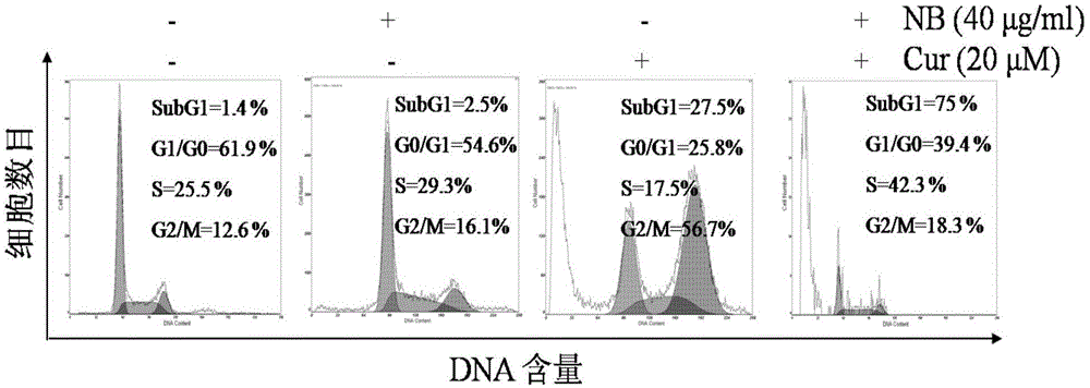 Medicine for treating melanoma and preparation method of medicine