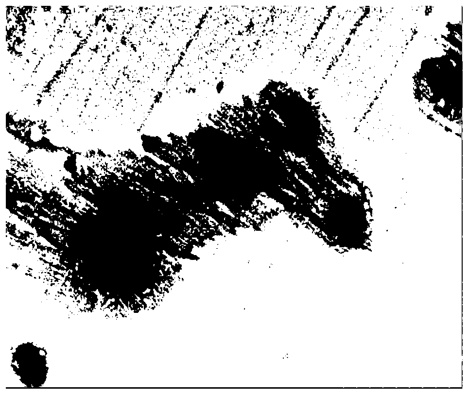 Rutin nanocrystal, rutin nanocrystal transdermal drug delivery gel and preparation method thereof