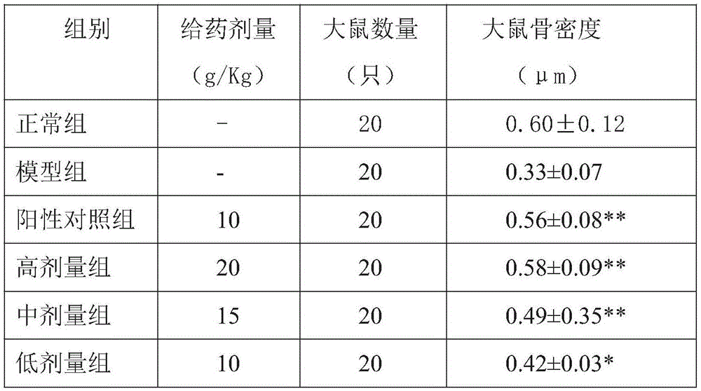 Traditional Chinese medicine composition for treating geriatric fracture and method for preparing traditional Chinese medicine composition