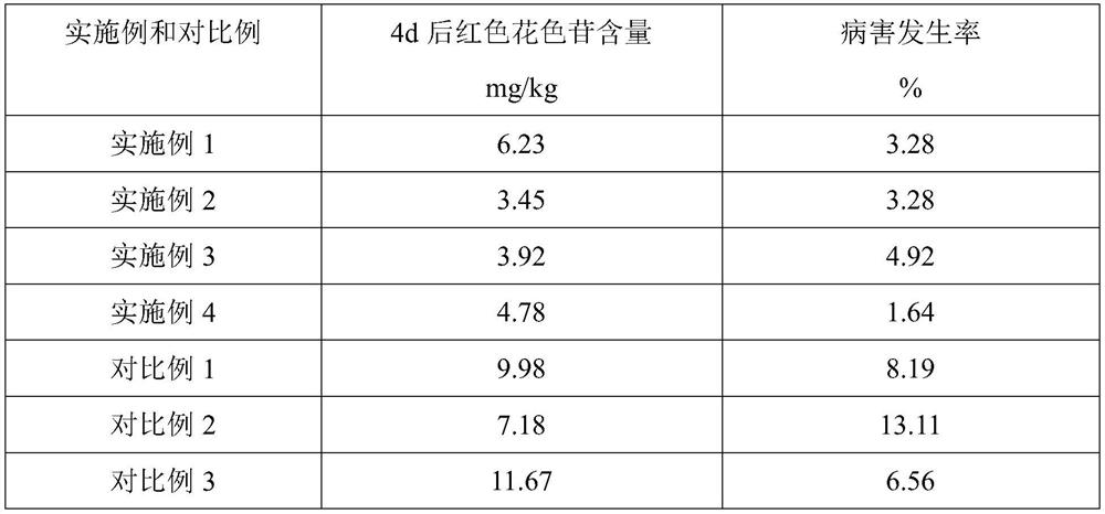 Method for inhibiting formation of peel anthocyanin of bagged fresh-eating yellow peaches after harvesting