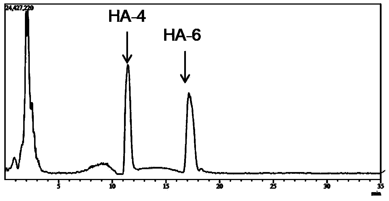 Method for preparing small-molecule oligomeric hyaluronic acid through enzyme method