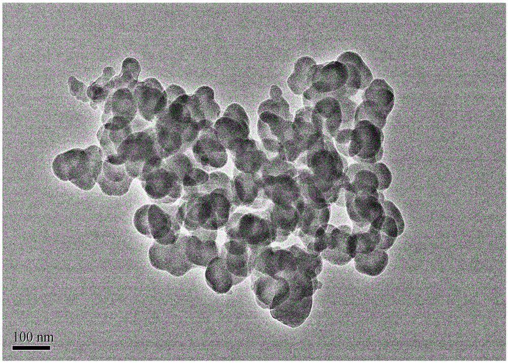 Supermolecular nanoparticle for targeting delivery of camptothecin and preparation method thereof