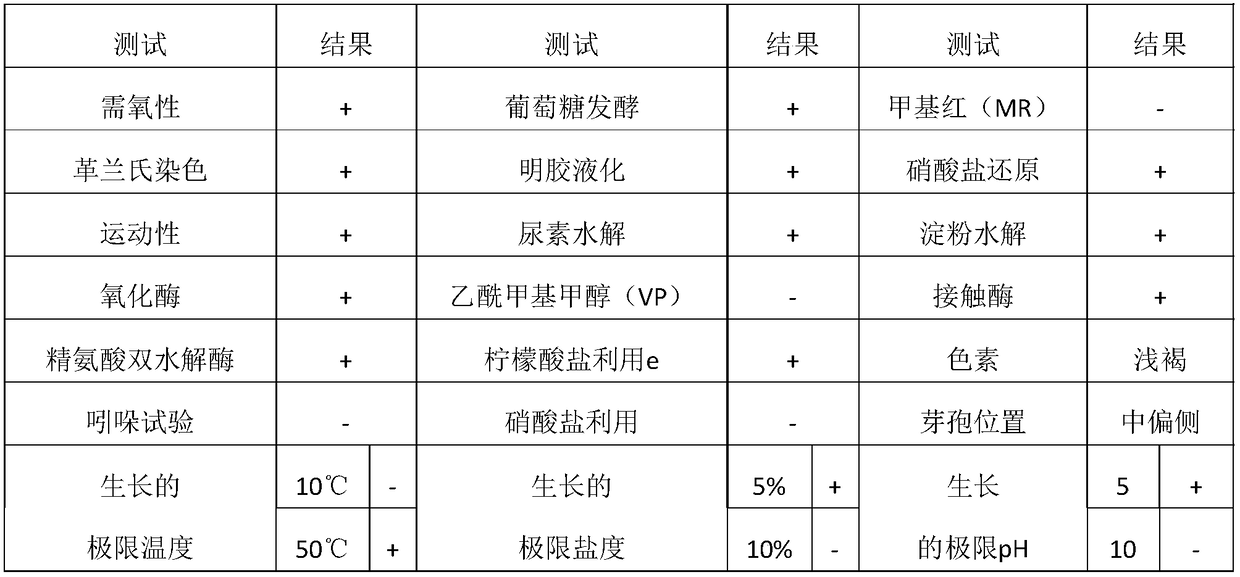 Bacillus and its use