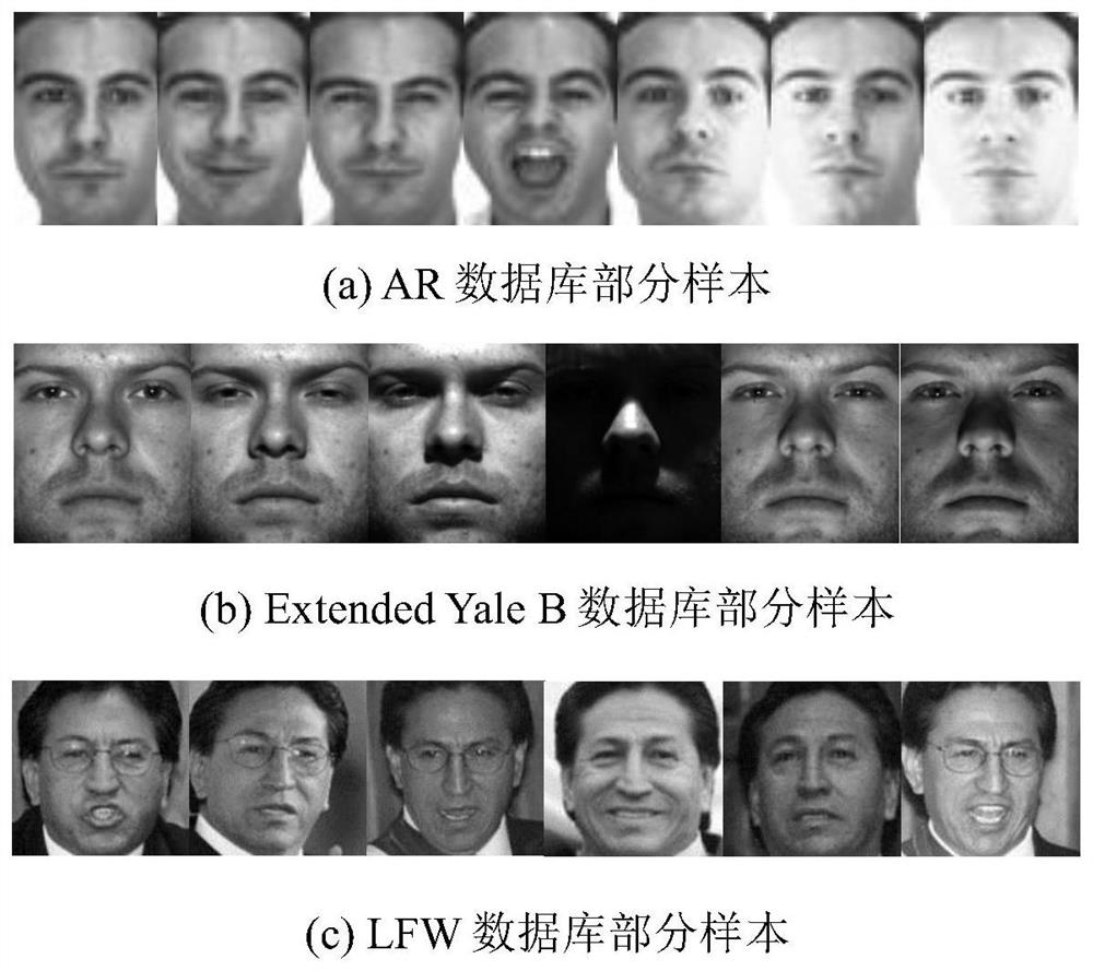 An Unconstrained Face Image Dimensionality Reduction Method Based on Discriminative Sparse Preserving Embedding