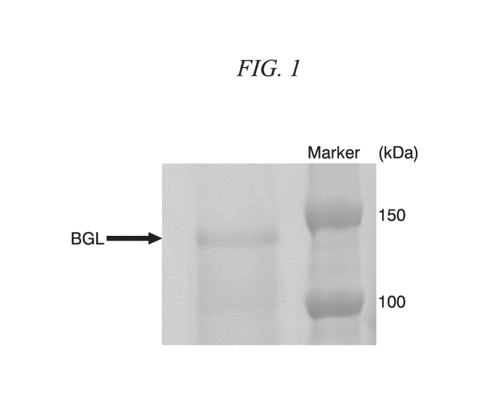 ß-glucosidase