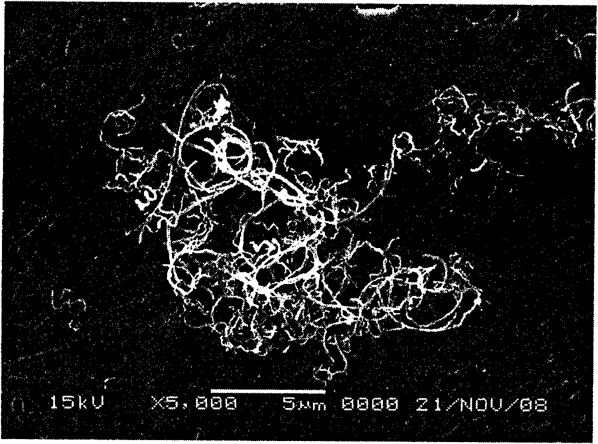 Method for preparing carbon nanotube grafted with vinyl macromolecular chain on the surface