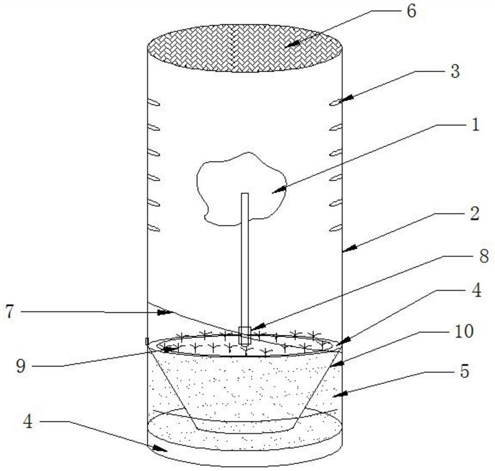 Transportation method of citrus reticulata Blanco nursery stocks