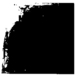 Preparation method of ultraviolet-shielding transparent wood