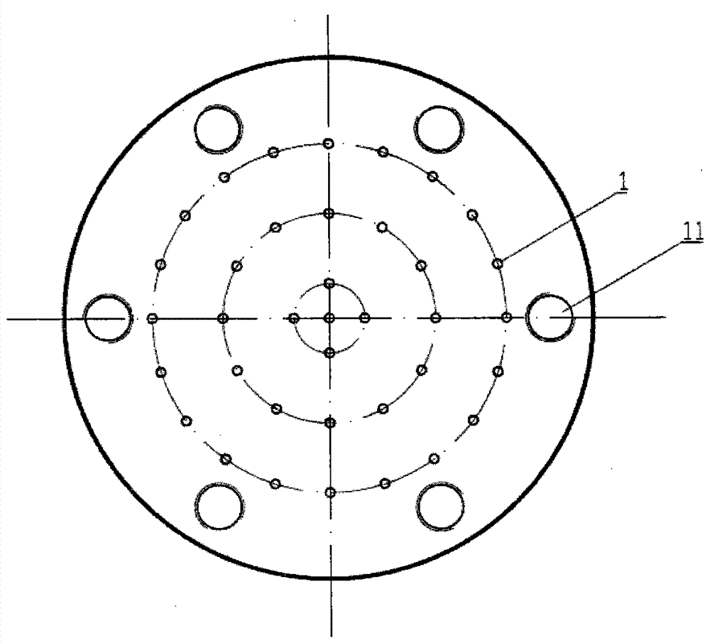 A polishing head with a vacuum suction cup