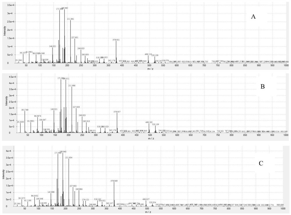 Detection method for blood culture positive reporting