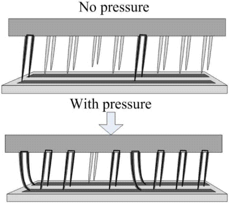 Magnetic and force cilium bionic sensor and preparation method thereof