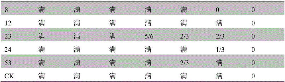 Saccharomyces cerevisiae strain, method for screening saccharomyces cerevisiae and process for brewing myrica rubra wine by aid of saccharomyces cerevisiae strain