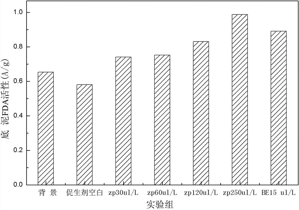 Composite bio-energizer used for in-situ ecological remediation of polluted river sediment