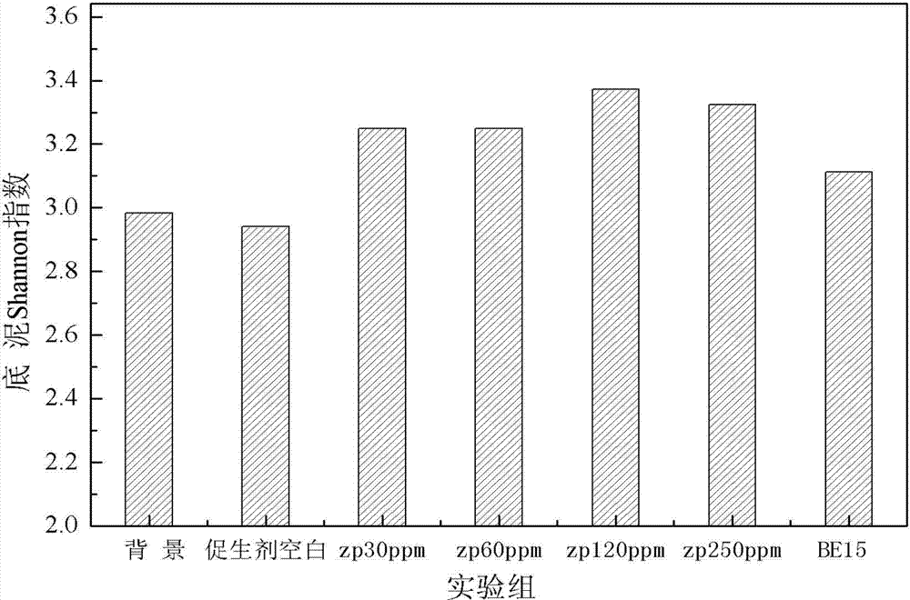 Composite bio-energizer used for in-situ ecological remediation of polluted river sediment