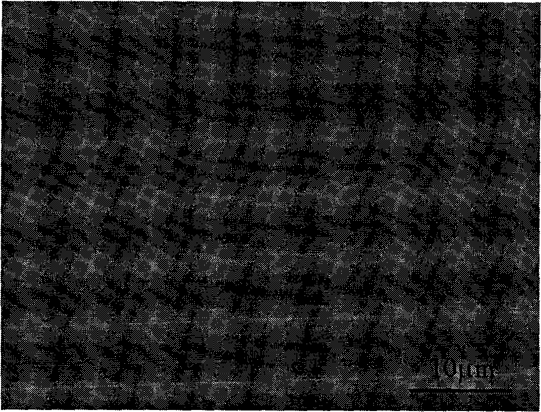 Method for preparing diamond-like coating on surface of biological medical NiTi alloy