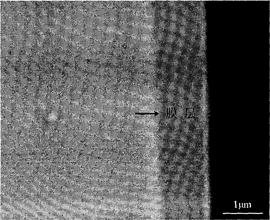 Method for preparing diamond-like coating on surface of biological medical NiTi alloy