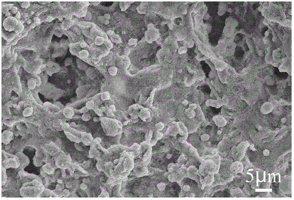 Super hydrophobic self-cleaning coating and preparation method thereof