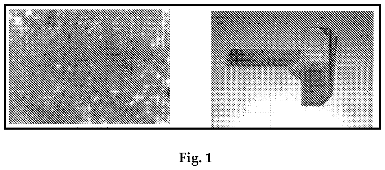 Process of manufacturing of segments for carbon thrust bearing