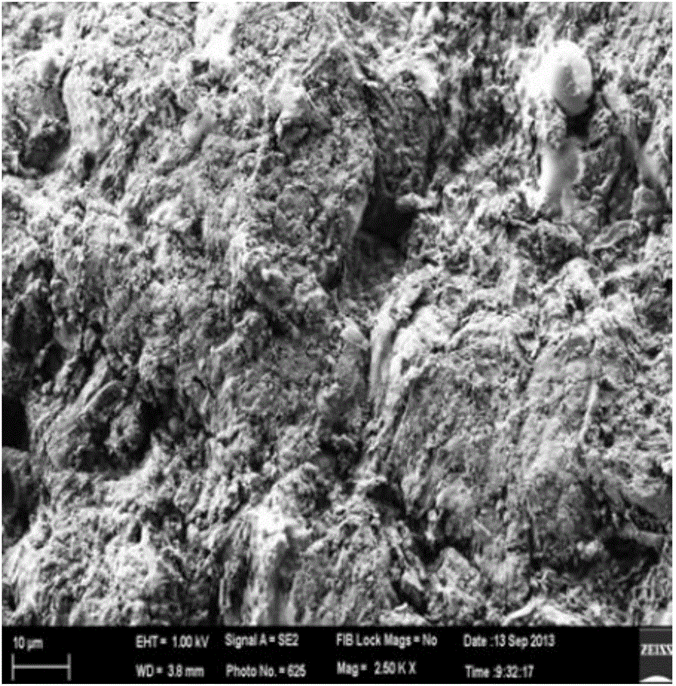 Heavy metal ion adsorbent