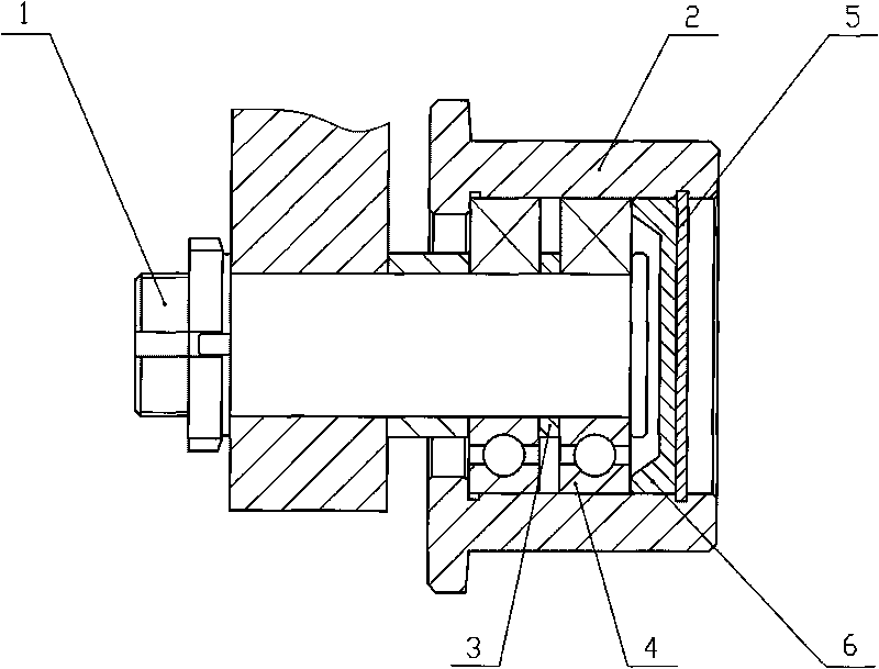 Improved rolling wheel device