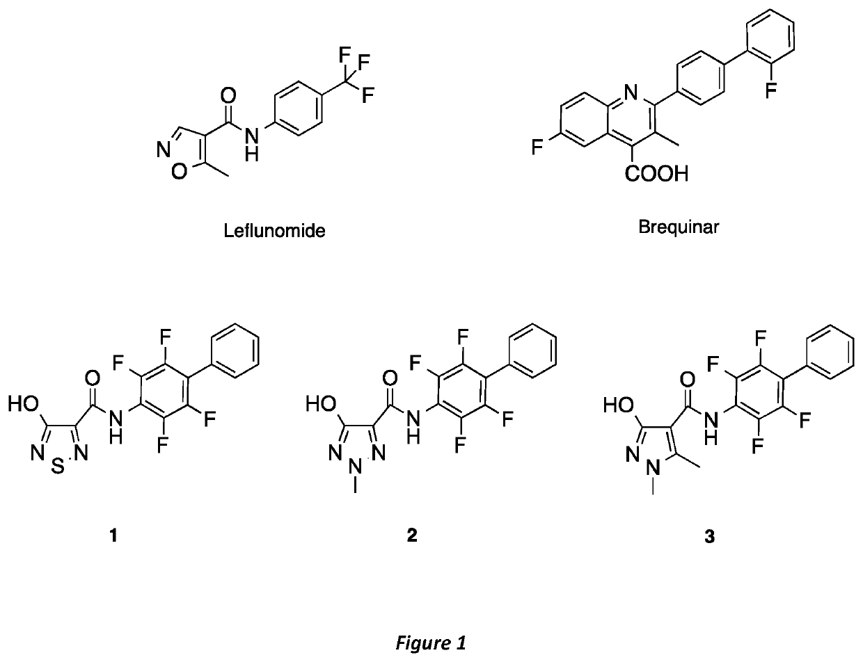 NOVEL HUMAN DIHYDROOROTATE DEHYDROGENASE (hDHODH) INHIBITORS AND THEIR USE IN TARGETING ONCOLOGICAL DISEASES SENSITIVE TO PYRIMIDINE STARVATION