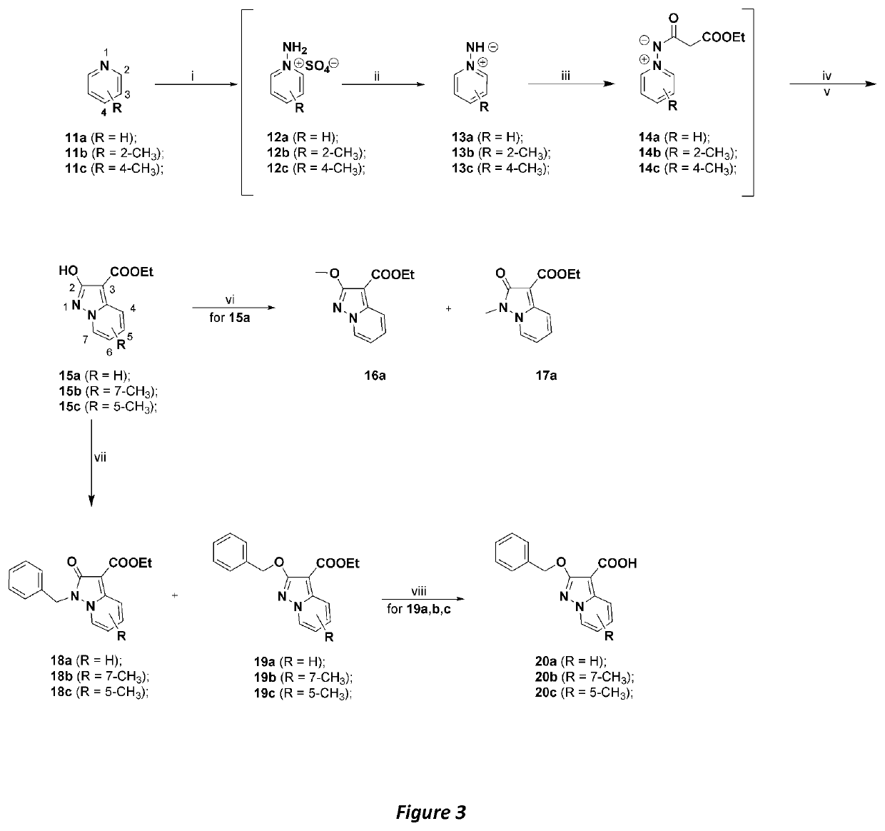 NOVEL HUMAN DIHYDROOROTATE DEHYDROGENASE (hDHODH) INHIBITORS AND THEIR USE IN TARGETING ONCOLOGICAL DISEASES SENSITIVE TO PYRIMIDINE STARVATION