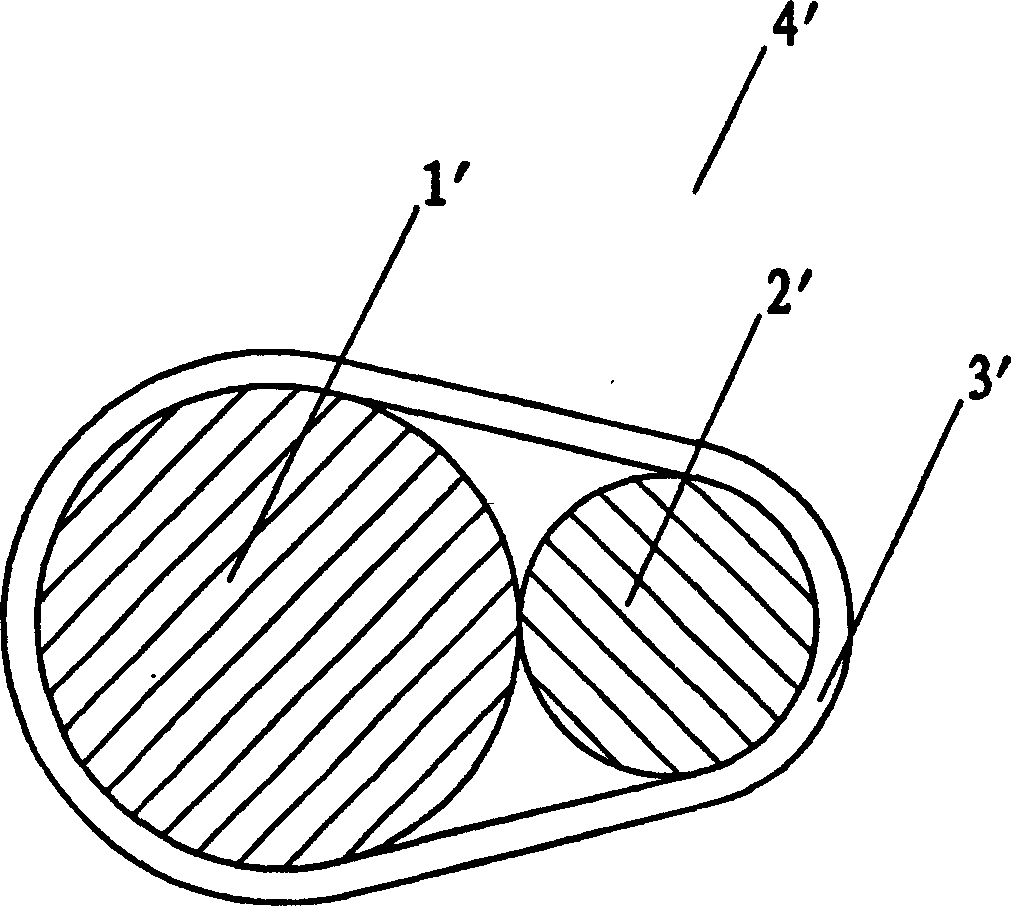 Composite double filement master-slave style three filament and three spiral filement and manufacture thereof