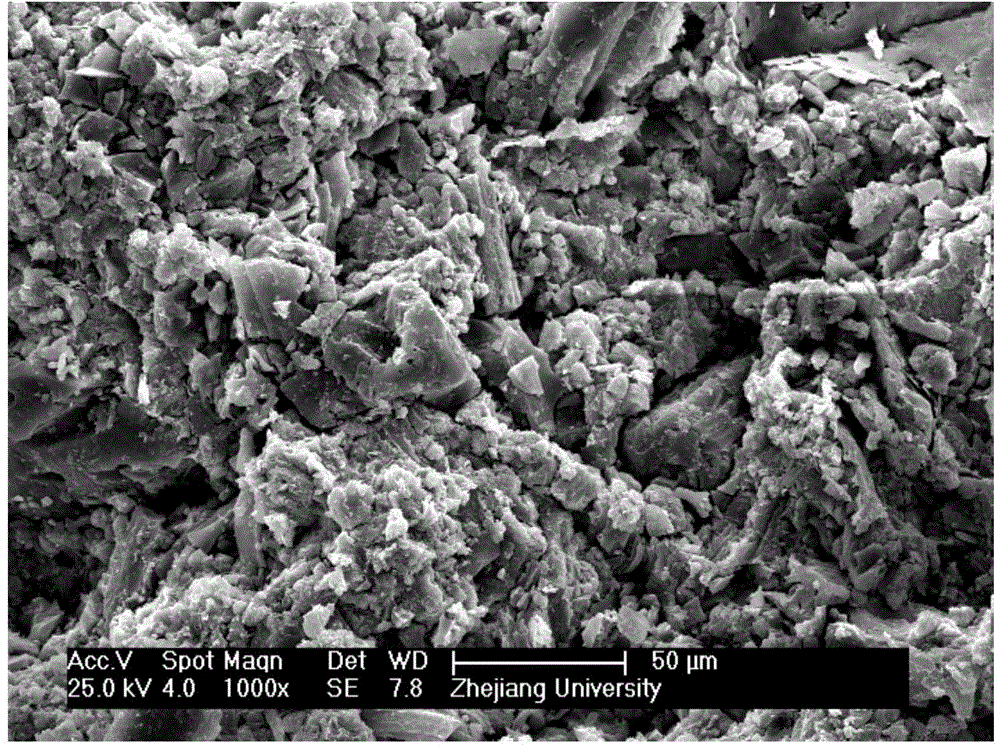 Biomass carbonization molding material and preparation method thereof